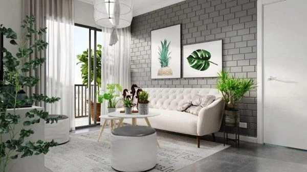 Phòng khách sơn màu trắng xám được bố trí thêm cây xanh để tạo điểm nhấn